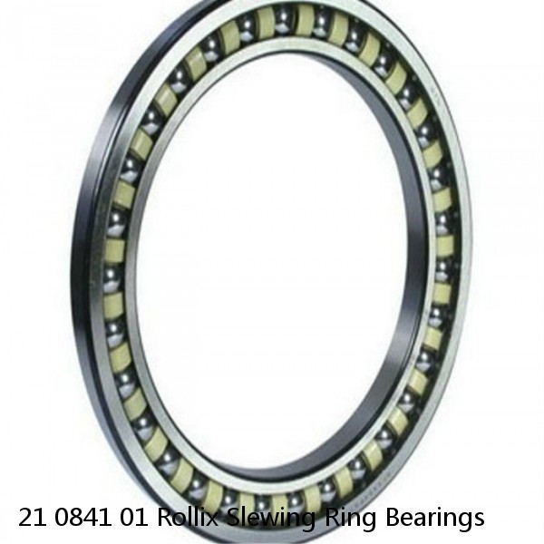 21 0841 01 Rollix Slewing Ring Bearings