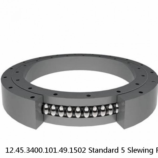 12.45.3400.101.49.1502 Standard 5 Slewing Ring Bearings #1 small image