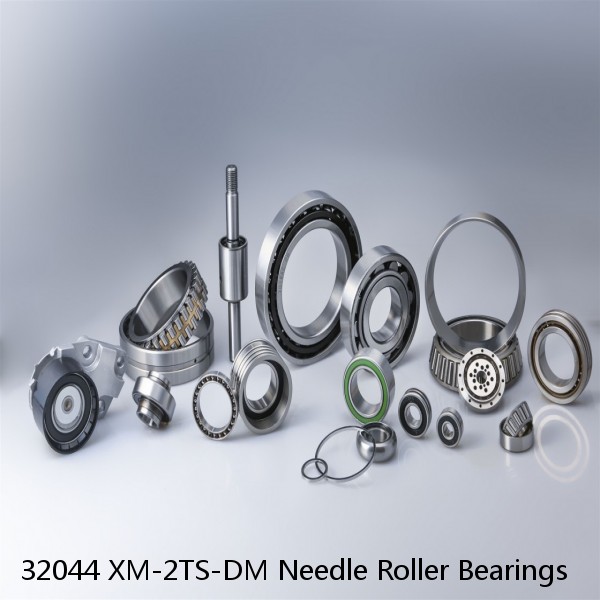 32044 XM-2TS-DM Needle Roller Bearings