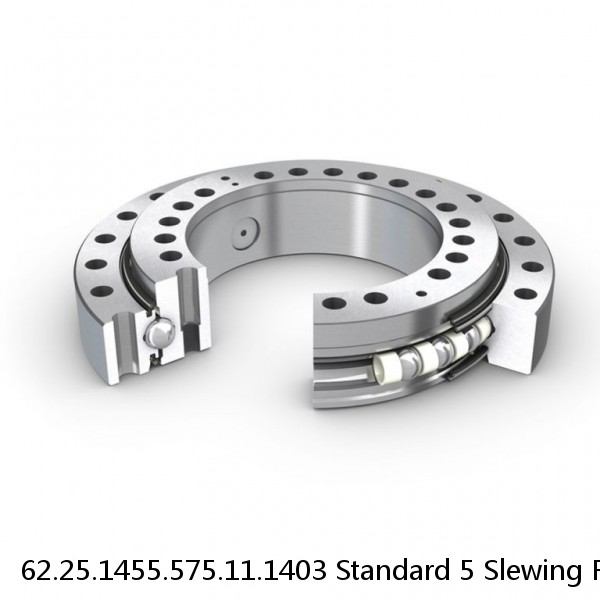 62.25.1455.575.11.1403 Standard 5 Slewing Ring Bearings #1 small image