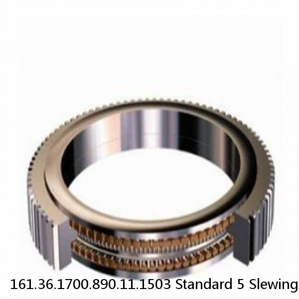 161.36.1700.890.11.1503 Standard 5 Slewing Ring Bearings #1 small image