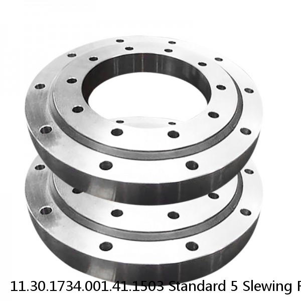 11.30.1734.001.41.1503 Standard 5 Slewing Ring Bearings #1 small image