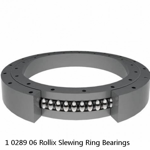 1 0289 06 Rollix Slewing Ring Bearings