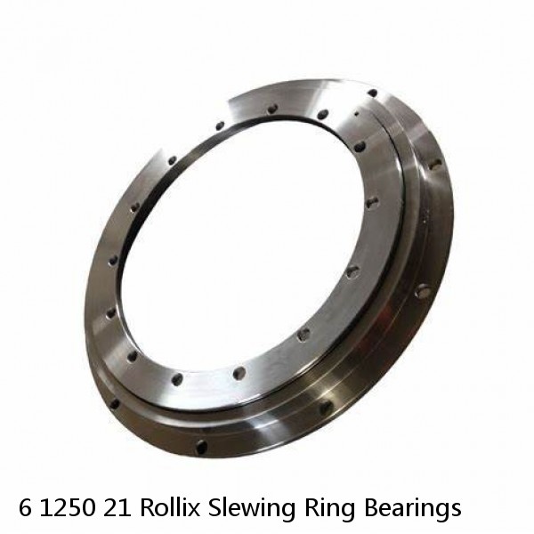 6 1250 21 Rollix Slewing Ring Bearings #1 small image