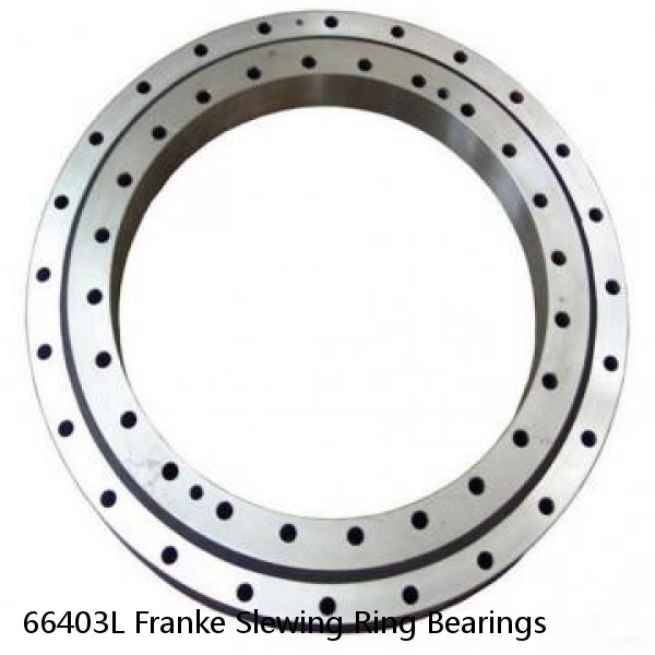 66403L Franke Slewing Ring Bearings #1 small image