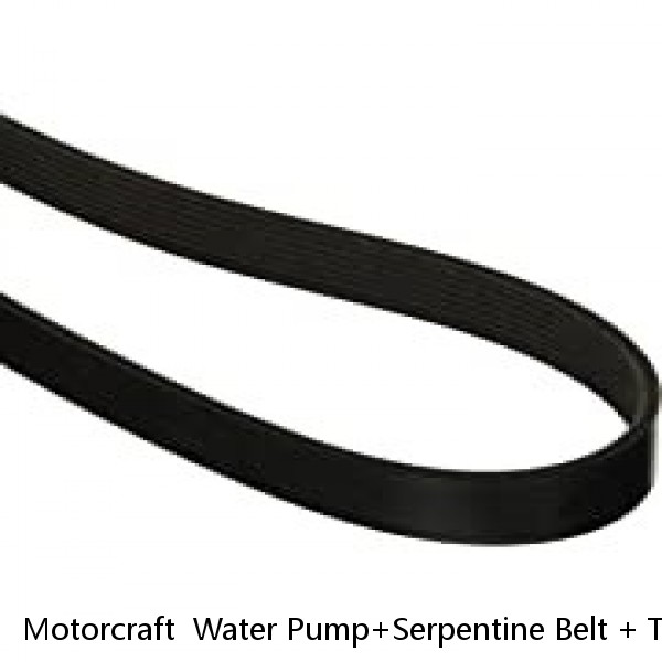 Motorcraft  Water Pump+Serpentine Belt + Tensioner + Pulley 06-11 CROWN VICTORIA