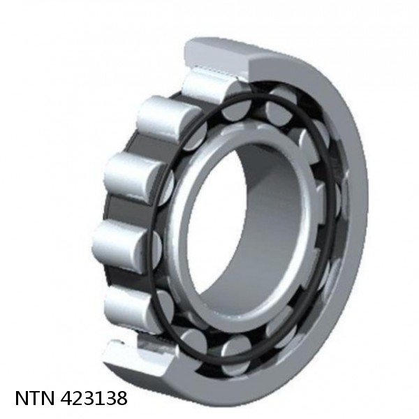 423138 NTN Cylindrical Roller Bearing #1 image