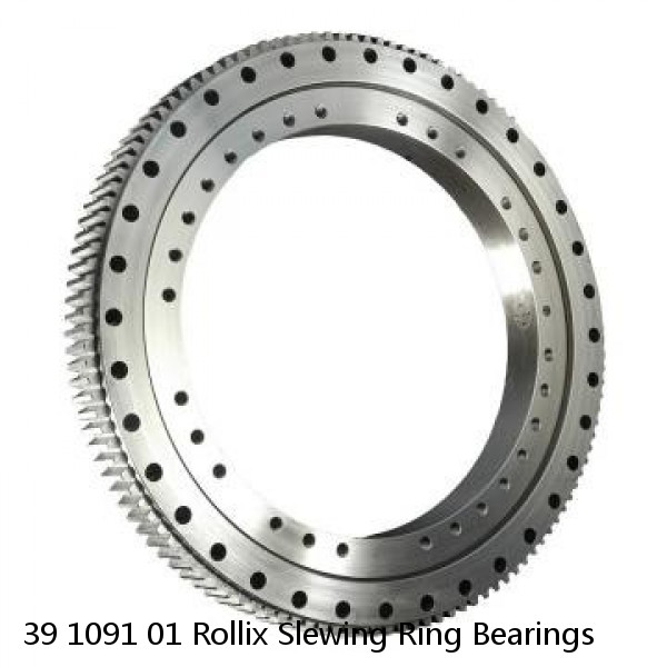 39 1091 01 Rollix Slewing Ring Bearings #1 image