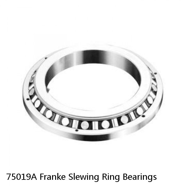 75019A Franke Slewing Ring Bearings #1 image