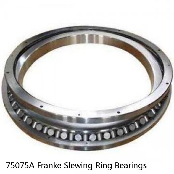 75075A Franke Slewing Ring Bearings #1 image