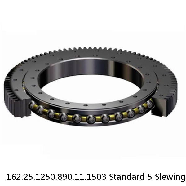 162.25.1250.890.11.1503 Standard 5 Slewing Ring Bearings #1 image