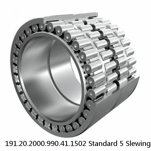 191.20.2000.990.41.1502 Standard 5 Slewing Ring Bearings #1 image