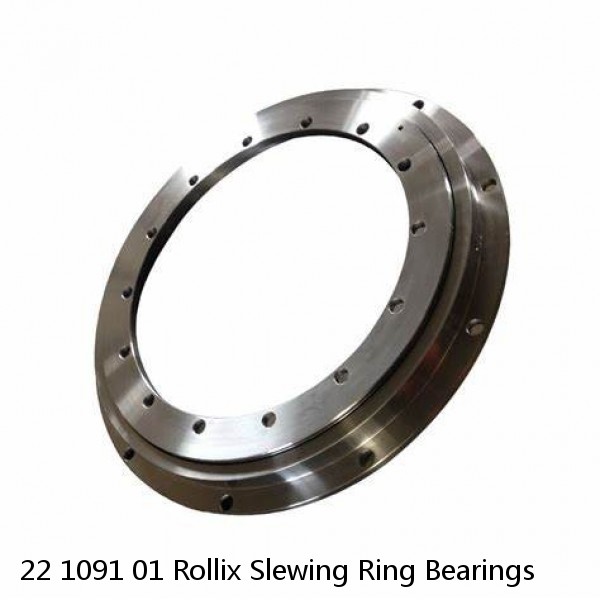 22 1091 01 Rollix Slewing Ring Bearings #1 image