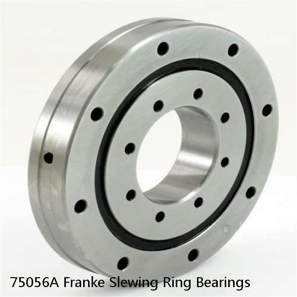 75056A Franke Slewing Ring Bearings #1 image