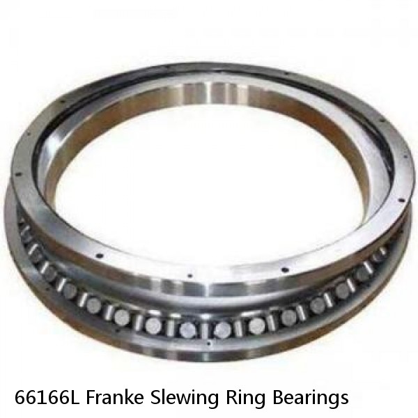 66166L Franke Slewing Ring Bearings #1 image