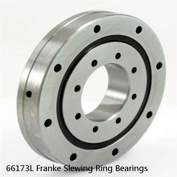 66173L Franke Slewing Ring Bearings #1 image