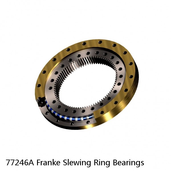77246A Franke Slewing Ring Bearings #1 image