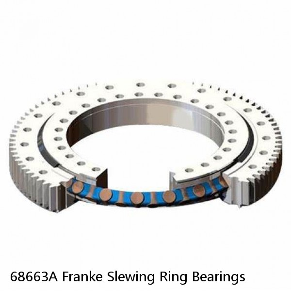 68663A Franke Slewing Ring Bearings #1 image