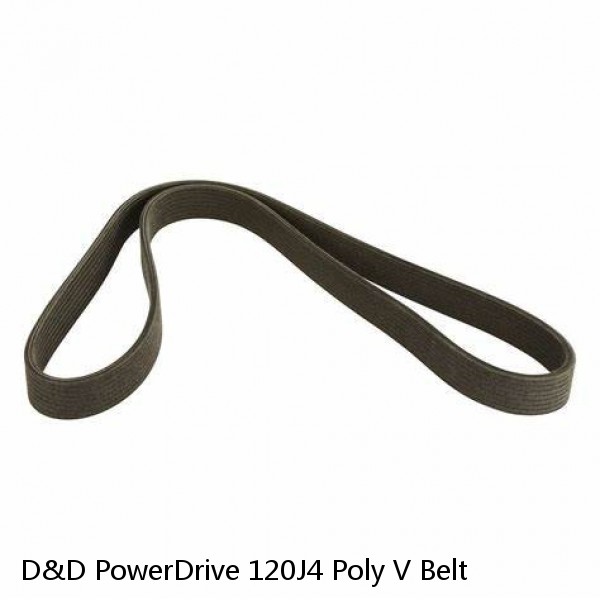 D&D PowerDrive 120J4 Poly V Belt #1 image