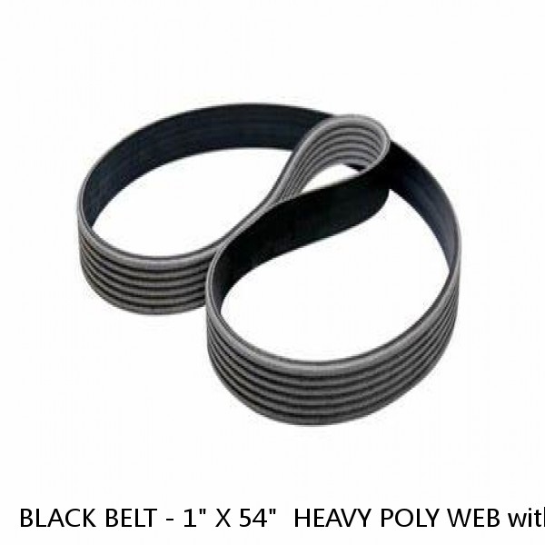 BLACK BELT - 1" X 54"  HEAVY POLY WEB with SIDE RELEASE BUCKLE #1 image