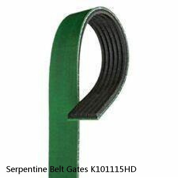 Serpentine Belt Gates K101115HD #1 image