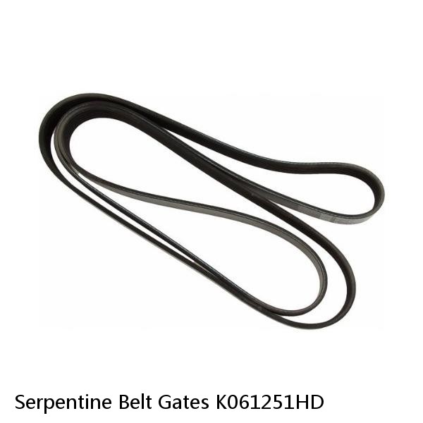 Serpentine Belt Gates K061251HD #1 image